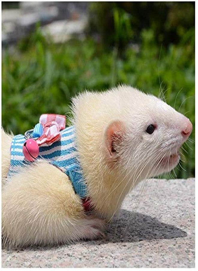 Litewoo Hamster Outdoor Walking Vest Harness and Leash Set Cute Bow-Knot and Clear Bell Decor Chest Strap Harness for Rabbit Guinea Pig Chinchilla Ferret Squirrel Marten Kitten (Small,Blue Stripe) - Image 3